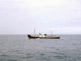 Рыболовецкое судно. Фото СФН-РБК Рыболовецкое судно. Фото СФН-РБК