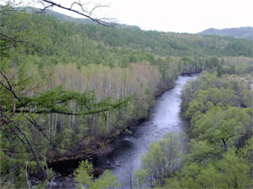 Читинская обл. фото с сайта "Новости природы" Читинская обл. фото с сайта "Новости природы"