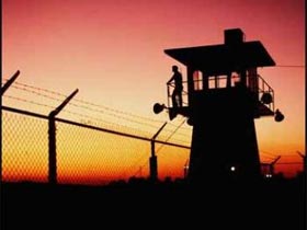 Колония. фото с сайта Mignews Колония. фото с сайта Mignews