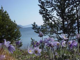 Озеро Байкал. Фото с сайта tour-land.ru Озеро Байкал. Фото с сайта tour-land.ru