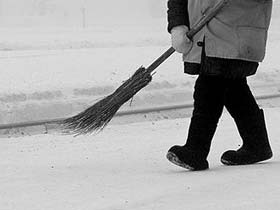 Метла. Фото с сайта foto.academ.org (с) Метла. Фото с сайта foto.academ.org (с)