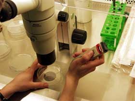 Исследование на ВИЧ. Фото: mk.gorod.dn.ua (с) Исследование на ВИЧ. Фото: mk.gorod.dn.ua (с)