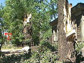 Ураган. Фото с сайта Amur.info Ураган. Фото с сайта Amur.info