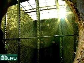 Решетка. Фото: newsru.com Решетка. Фото: newsru.com