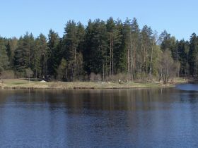 Светлое озеро в Токсово. Фото: toksovo.com Светлое озеро в Токсово. Фото: toksovo.com