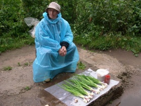 Пенсионерка. Фото: fotki.yandex.ru/get/11/narodnina Пенсионерка. Фото: fotki.yandex.ru/get/11/narodnina