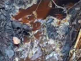 Енисей. Фото с сайта news.made.ru Енисей. Фото с сайта news.made.ru