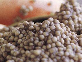 Икра. Фото с сайта ikra-online.ru Икра. Фото с сайта ikra-online.ru