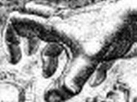 Рейдер, фото с сайта aferizm.ru Рейдер, фото с сайта aferizm.ru