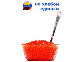 Единая Россия, фото http://www.elefterian.com Единая Россия, фото http://www.elefterian.com