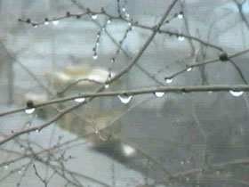 Оттепель. Фото: saratov.rfn.ru Оттепель. Фото: saratov.rfn.ru