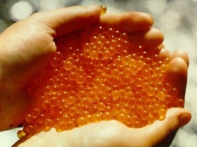 Красная икра. Фото: img-fotki.yandex.ru Красная икра. Фото: img-fotki.yandex.ru