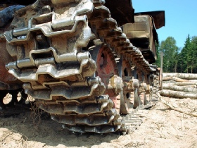 Химкинский лес. Фото Каспарова.Ru Химкинский лес. Фото Каспарова.Ru