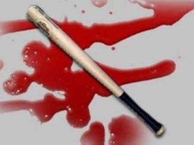 Бита. Фото с сайта www.aif.ru Бита. Фото с сайта www.aif.ru