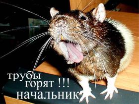 Трубы горят, фото с сайта community.livejournal.com Трубы горят, фото с сайта community.livejournal.com