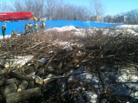 Работы на станции юннатов. Фото из микроблога Евгении Чириковой Работы на станции юннатов. Фото из микроблога Евгении Чириковой