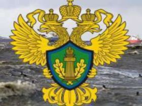 Росприроднадзор. Источник: www.ecoportal.su Росприроднадзор. Источник: www.ecoportal.su