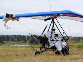 Владимир Путин на дельтаплане. Фото с сайта clubs.ya.ru Владимир Путин на дельтаплане. Фото с сайта clubs.ya.ru