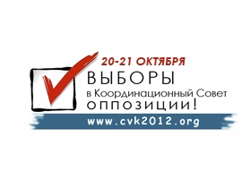 Выборы в КС оппозиции. Изображение: cvk2012.org Выборы в КС оппозиции. Изображение: cvk2012.org