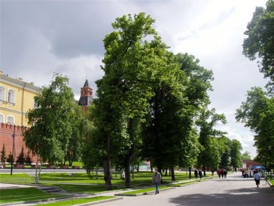 Александровский сад Александровский сад