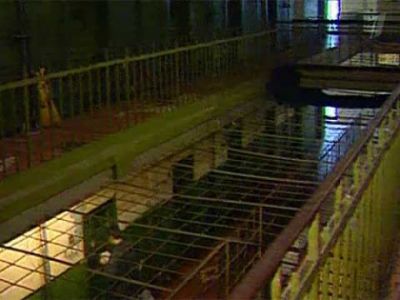 Фото informoi135.ru Фото informoi135.ru