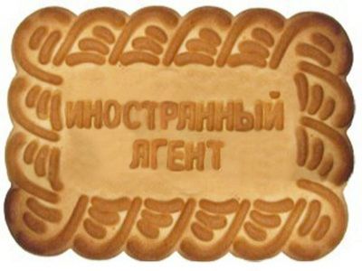 Закон об НКО — "иностранных агентах". Фото: cogita.ru Закон об НКО — "иностранных агентах". Фото: cogita.ru