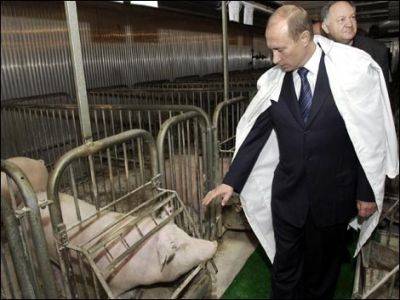 Фото ttolk.ru Фото ttolk.ru