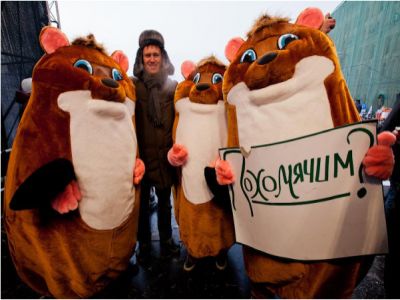 "Сетевые хомячки" Фото rychkoff.livejournal.com "Сетевые хомячки" Фото rychkoff.livejournal.com