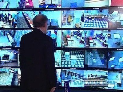 Веб-камеры. Фото: fed.sibnovosti.ru Веб-камеры. Фото: fed.sibnovosti.ru