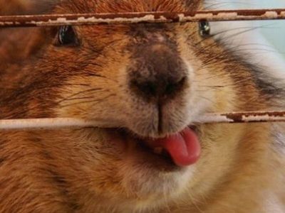 Фото inpress.ua Фото inpress.ua