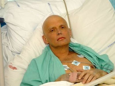 Литвиненко Фото: newsland.ru Литвиненко Фото: newsland.ru