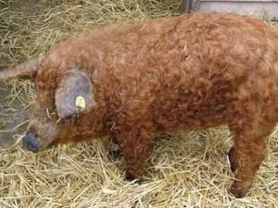 Фото mix.zoneitnet.ru Фото mix.zoneitnet.ru