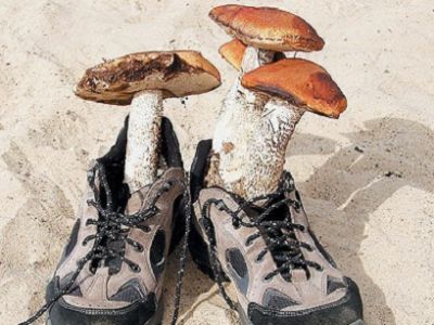 Фото gos-hotels.ru Фото gos-hotels.ru