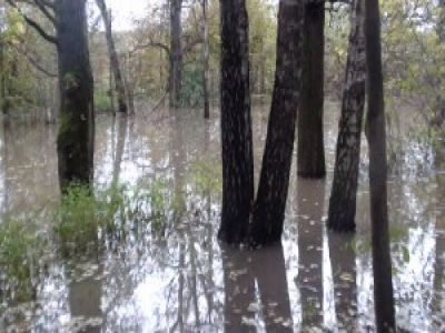 Наталья Чернышева. Наталья Чернышева.