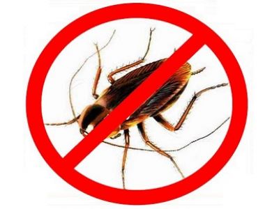 Фото magivolshebnik.ru Фото magivolshebnik.ru