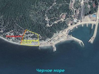 Огороженный участок. Фото: ewnc.org Огороженный участок. Фото: ewnc.org