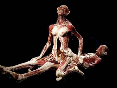 "Тайны тела. Вселенная внутри". Фото: nlo-mir.ru "Тайны тела. Вселенная внутри". Фото: nlo-mir.ru