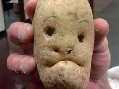 Картофель. Фото: stepandstep.ru Картофель. Фото: stepandstep.ru