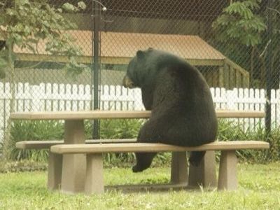 Плакат "Санкции". Фото: pikabu.ru