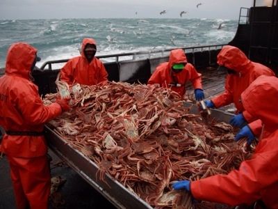 Ловля крабов. Фото: fishretail.ru Ловля крабов. Фото: fishretail.ru