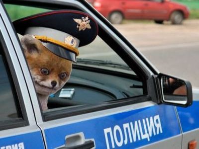 Фотожаба на полицию. Фото: военный-пенсионер.рф Фотожаба на полицию. Фото: военный-пенсионер.рф