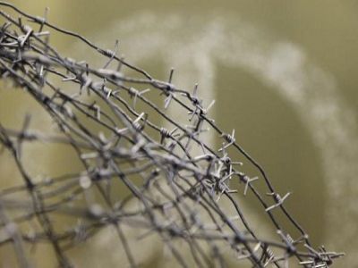 Пацифизм за колючей проволокой. Фото: images.aif.ru Пацифизм за колючей проволокой. Фото: images.aif.ru