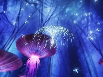 Пандора. Фото: vk.com Пандора. Фото: vk.com