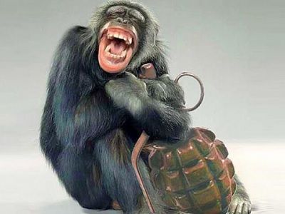 Обезьяна с гранатой Обезьяна с гранатой