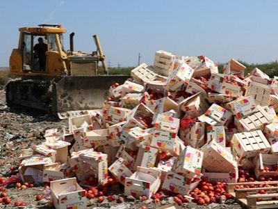 Уничтожение нектаринов из-за санкций. Фото: oppps.ru Уничтожение нектаринов из-за санкций. Фото: oppps.ru