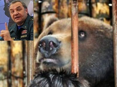 Министр МЧС Пучков; медведица Масяня в клетке. Источники - vpravda.ru и www.ntv.ru Министр МЧС Пучков; медведица Масяня в клетке. Источники - vpravda.ru и www.ntv.ru