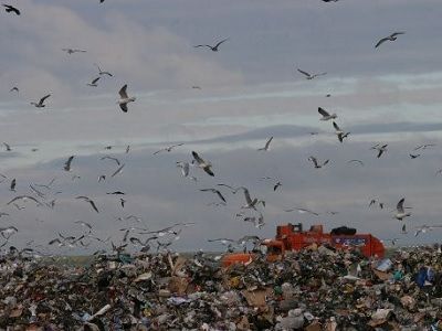 Свалка в Челябинске. Фото: kursdela.biz Свалка в Челябинске. Фото: kursdela.biz