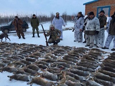 "Царская охота" в Краснодарском крае, янв. 2015. Фото: novayagazeta.ru/inquests/71251.html "Царская охота" в Краснодарском крае, янв. 2015. Фото: novayagazeta.ru/inquests/71251.html