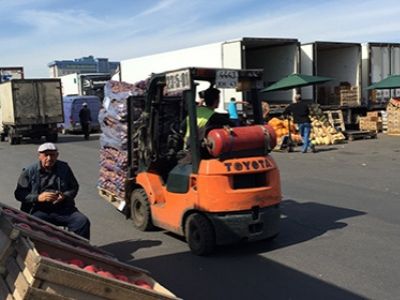 Овощебаза в Санкт-Петербурге. Фото: lenta.ru Овощебаза в Санкт-Петербурге. Фото: lenta.ru