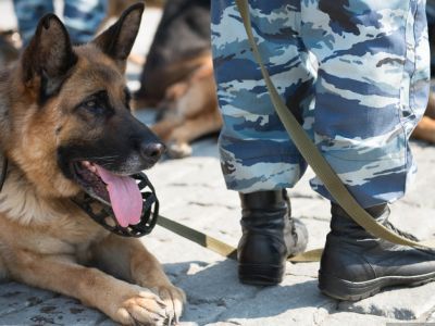 Обыск в колонии. Фото: URA.Ru Обыск в колонии. Фото: URA.Ru